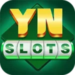 YN Slots
